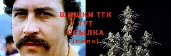 твердый Каменногорск