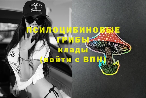 твердый Каменногорск