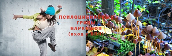 твердый Каменногорск