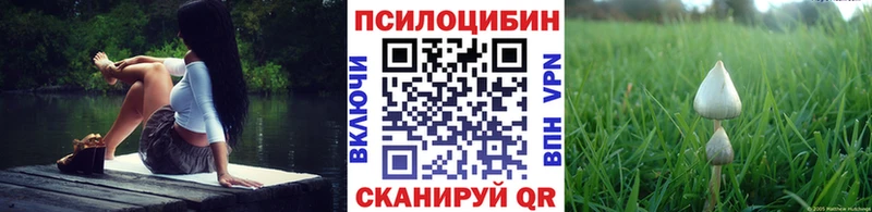 Псилоцибиновые грибы Cubensis  Купить где  Пустошка 